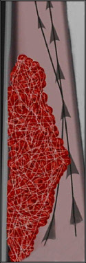 wp10aef080.jpg
