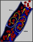 wp55551c2d.jpg